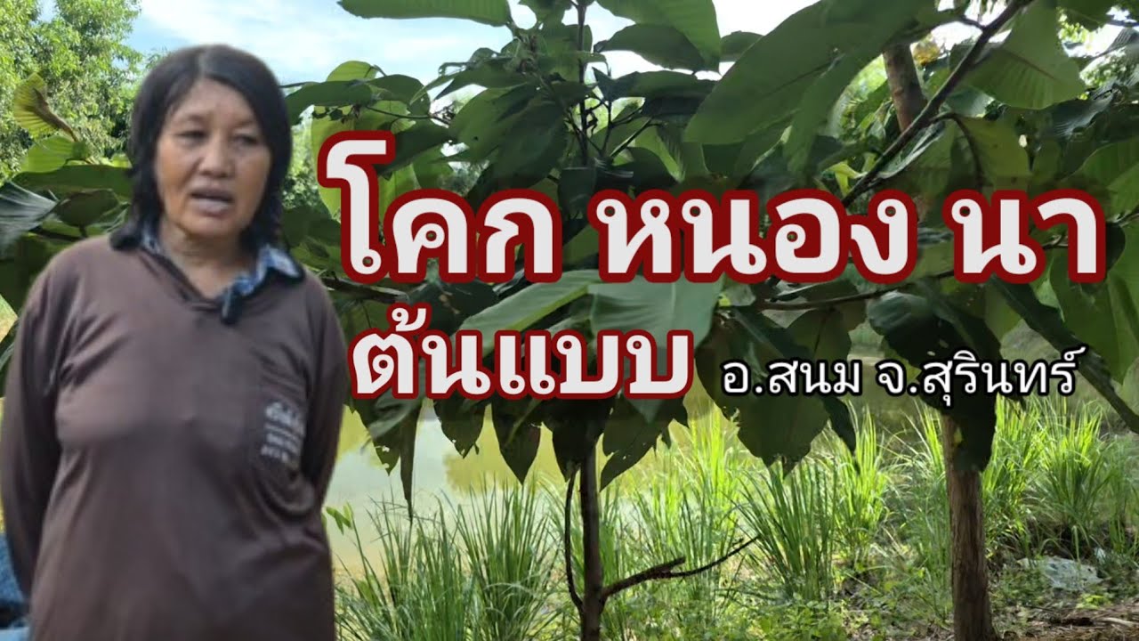 โคก หนอง นา ตันแบบ 5 ปีผ่านไปไม่มีอะไรเหมือนเดิมอีกเลย