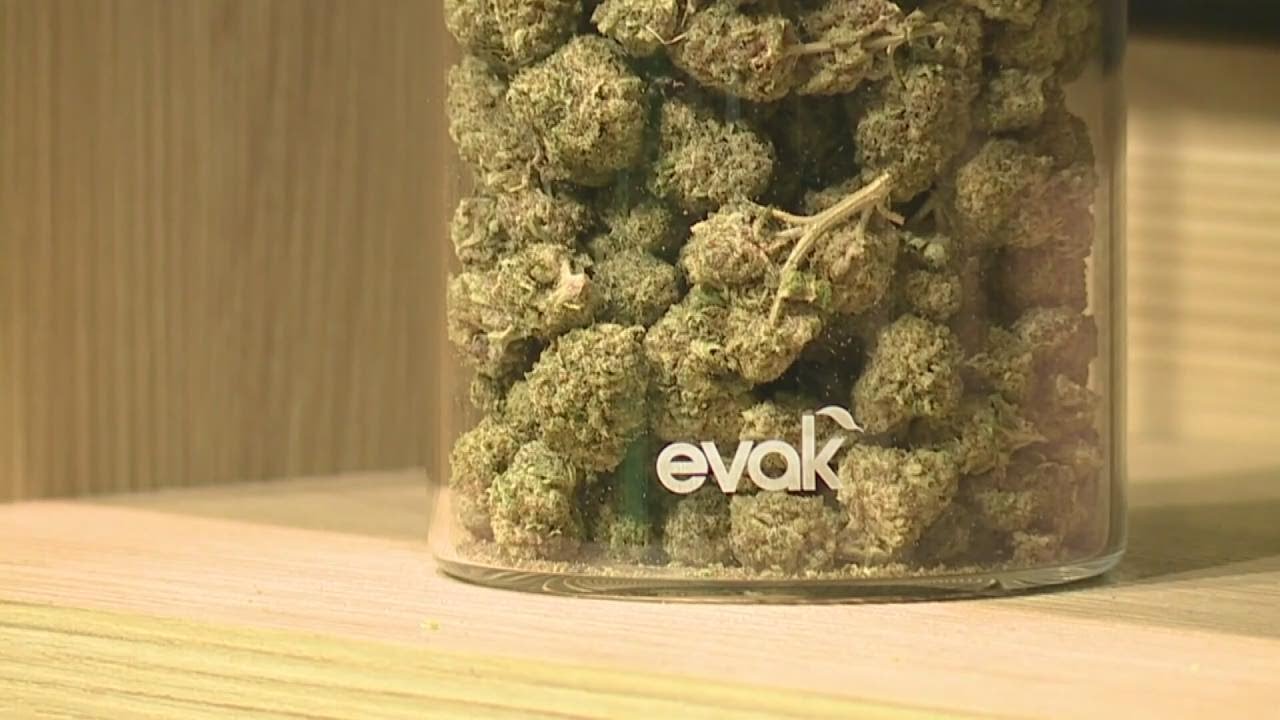 New jobs report shows cannabis industry growth