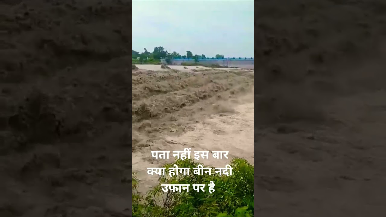 इस बार बीन नदी बहुत ज्यादा उफान पर है पता नहीं इस बार क्या होगा