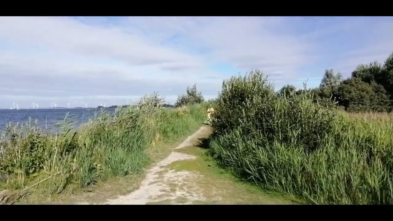 In Bruinisse am Hafen und am Grevelingenmeer (Provinz Zeeland)