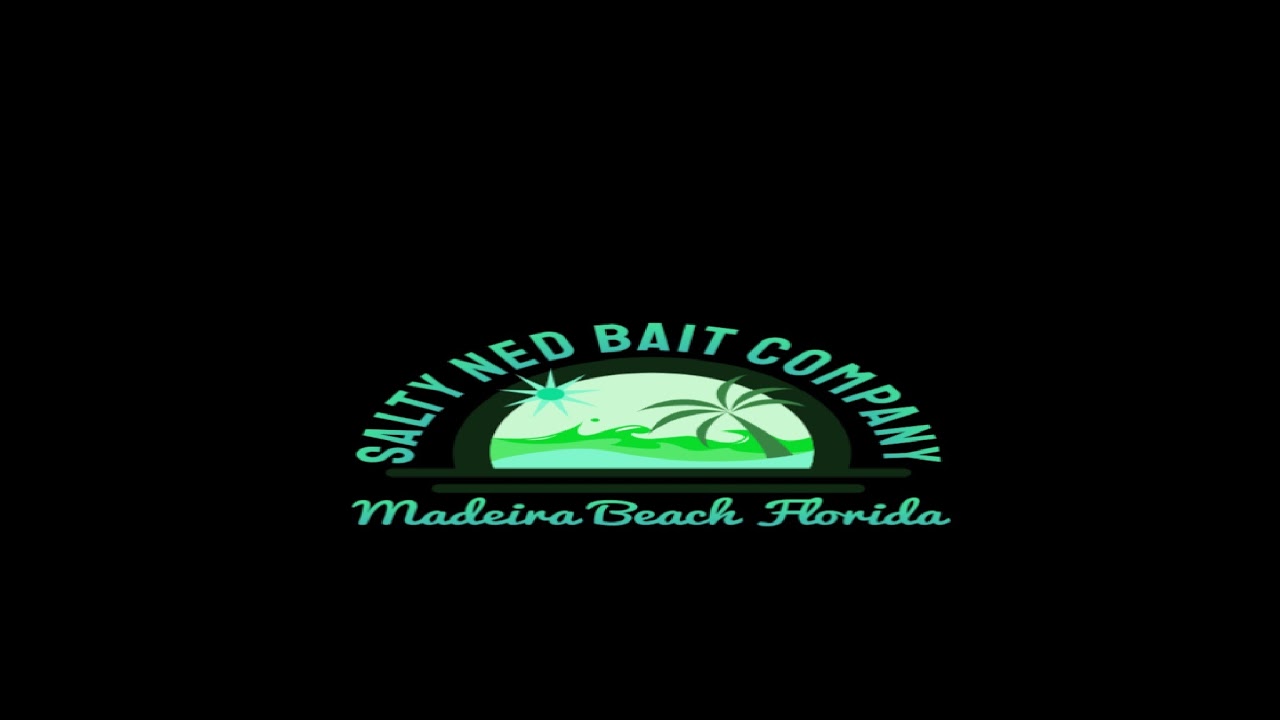 NEW! Ned Hawk Jig  - Salty Ned Saltwater Ned Jig - Mini Flair Hawk Jig