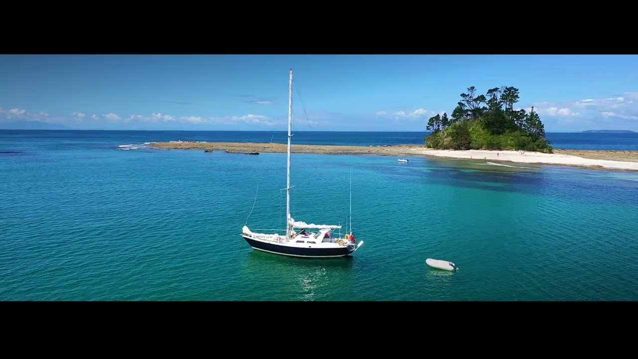 Hauraki Gulf Sailing Adventure