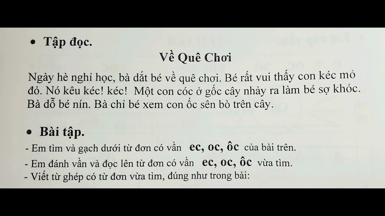 BIN&BIN | Reading | Về quê chơi 