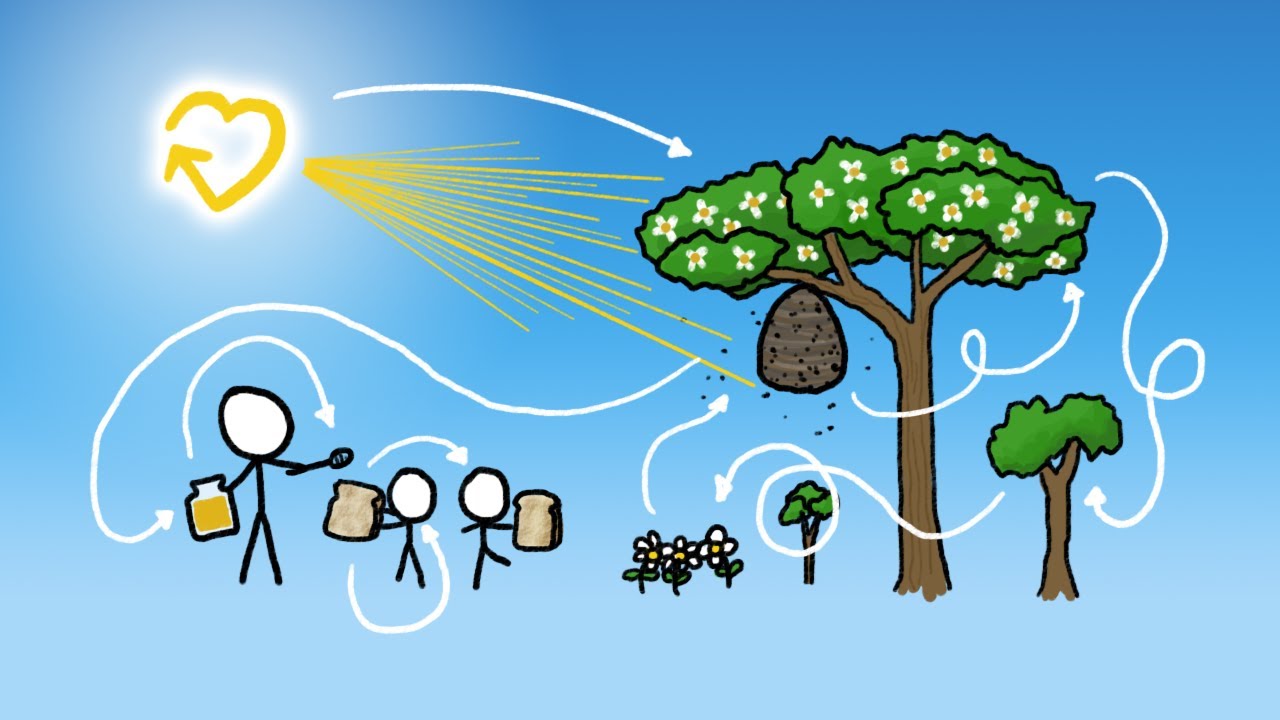 How Our Honey is Made (& Subbable announcement)