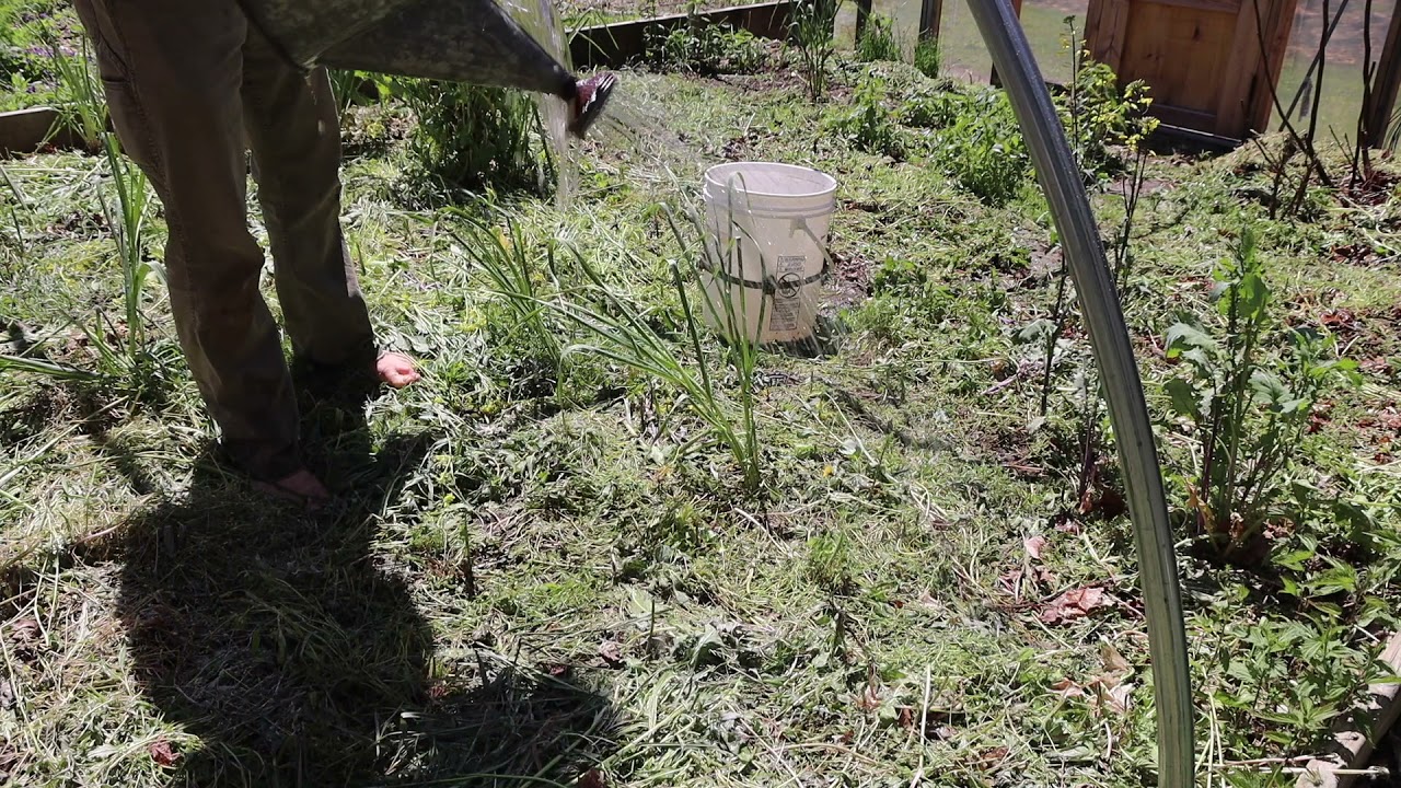 Regenerative Soil Amendment Process