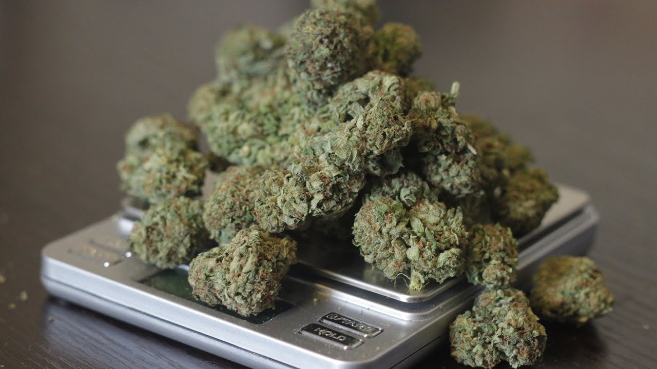 Extracting Potent High-Yielding Rosin From Top Shelf Cannabis Flowers