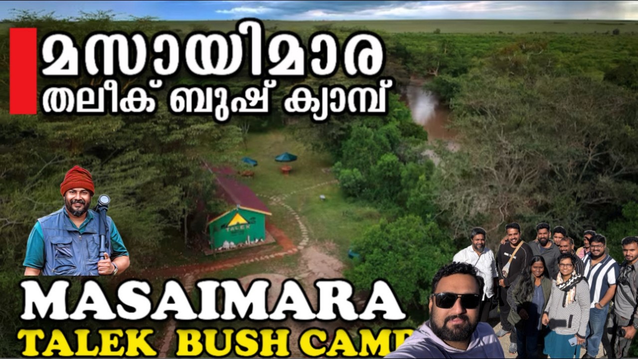 МасаиМара I Кения ITalek Bush Camp IMasaiMara I Talek Bush Camp #mytravelimprints #karikkaden
