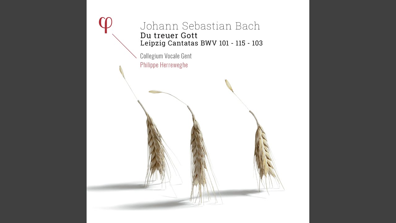 Mache dich, mein Geist, bereit in G Major, BWV 115: IV. Aria 