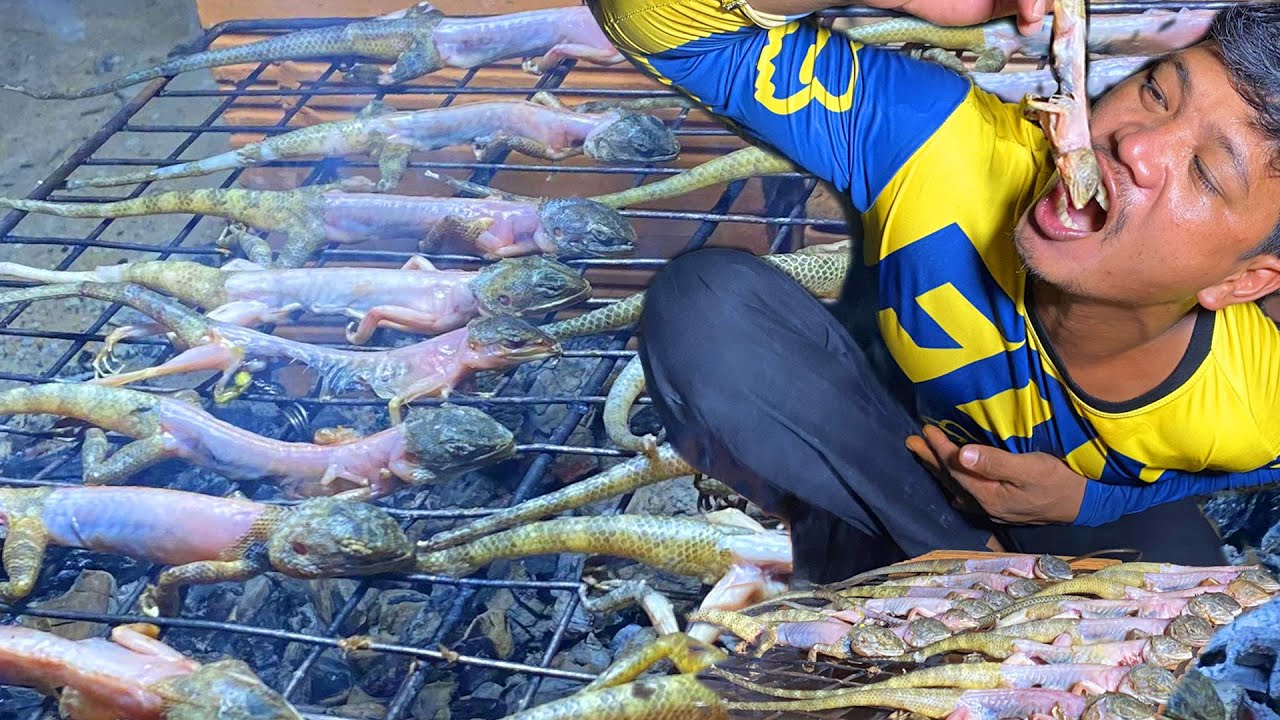 Wow! Find Lizard 🦎 in forest to cooking for dinner