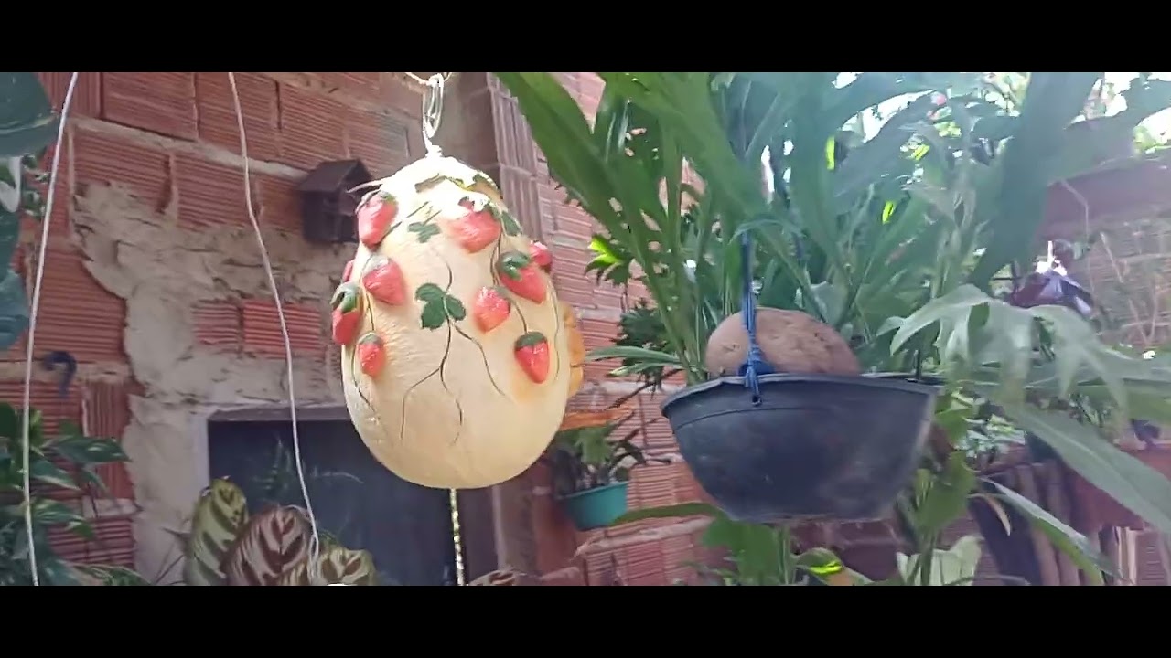 Chegou novas plantinhas para o meu cultivo