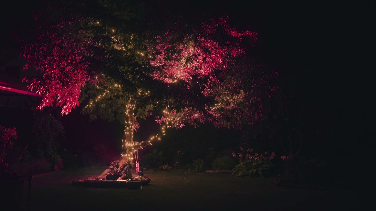 under the tree