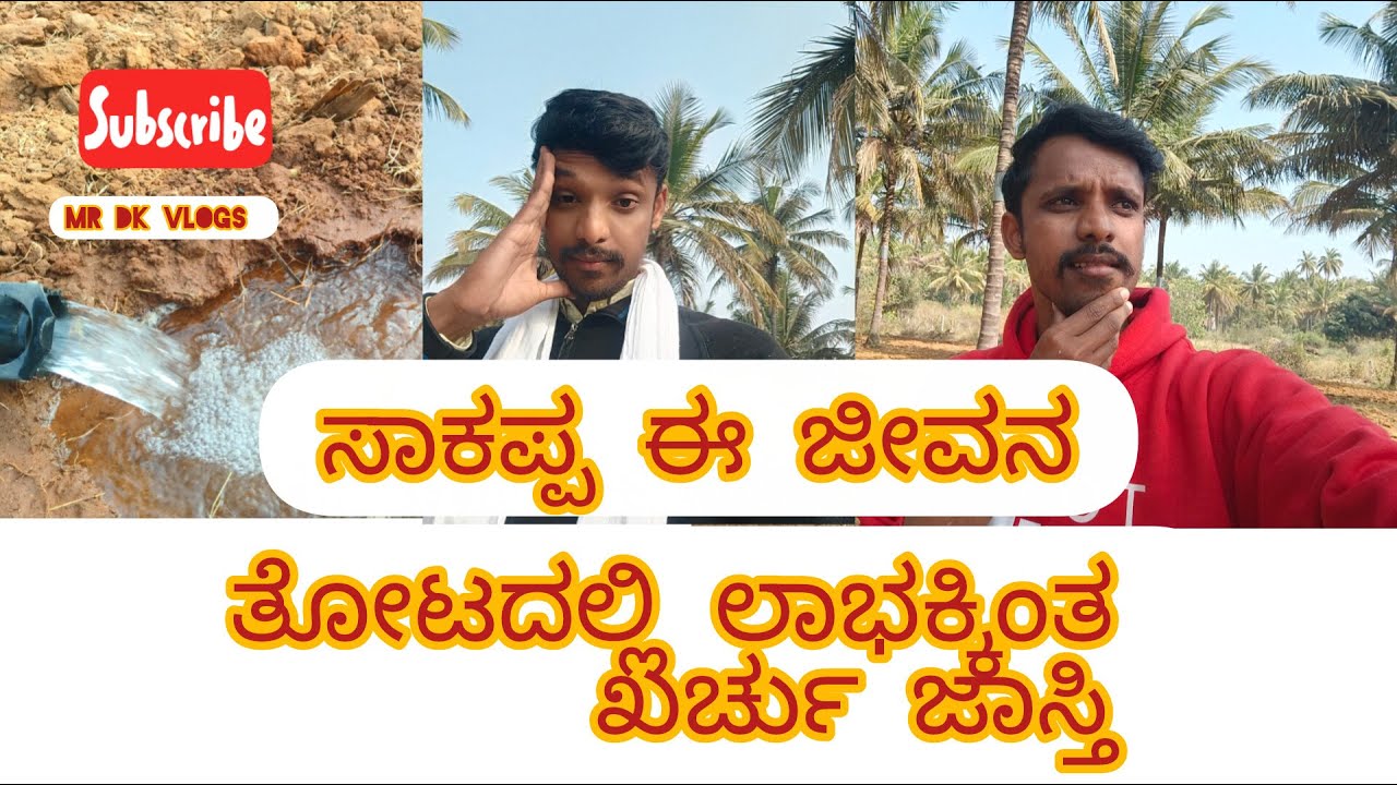 #ನಮ್ಮ ತೋಟದ ಕೆಲಸ #formorevideos #coconut #drip #motor #pump #land #peace #peaceful #daily #dailyvlog