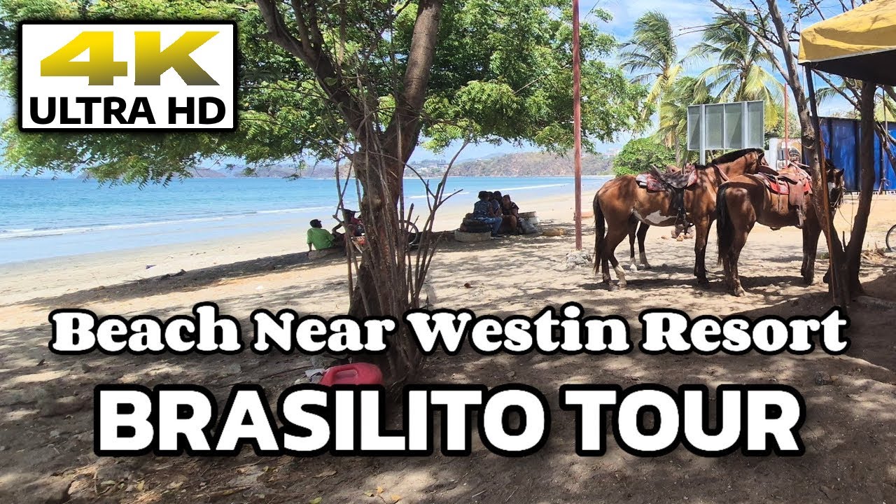 🏇 Walking Tour Playa Brasilito , Costa Rica // Beach Between Flamingo & Conchal 🦩 + 🐚 #travel
