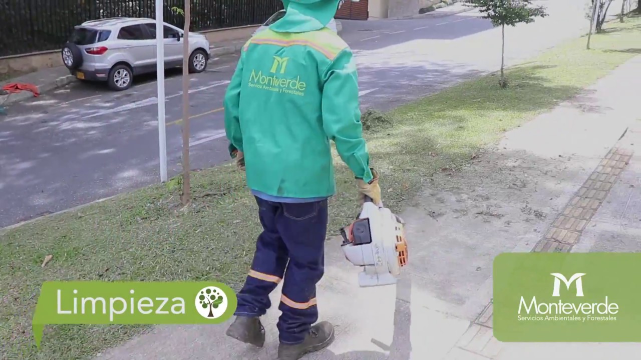 Servicio Mantenimiento Zonas Verdes. Rocer&iacute;a, corte de c&eacute;sped y guada&ntilde;adores en Medell&iacute;n,  Antioquia