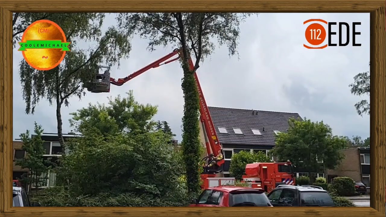 (cm)ⒸⓄⓄⓁⒺ ⓂⒾⒸⒽⒶⒺⓁ en brandweer ede zaagt takken