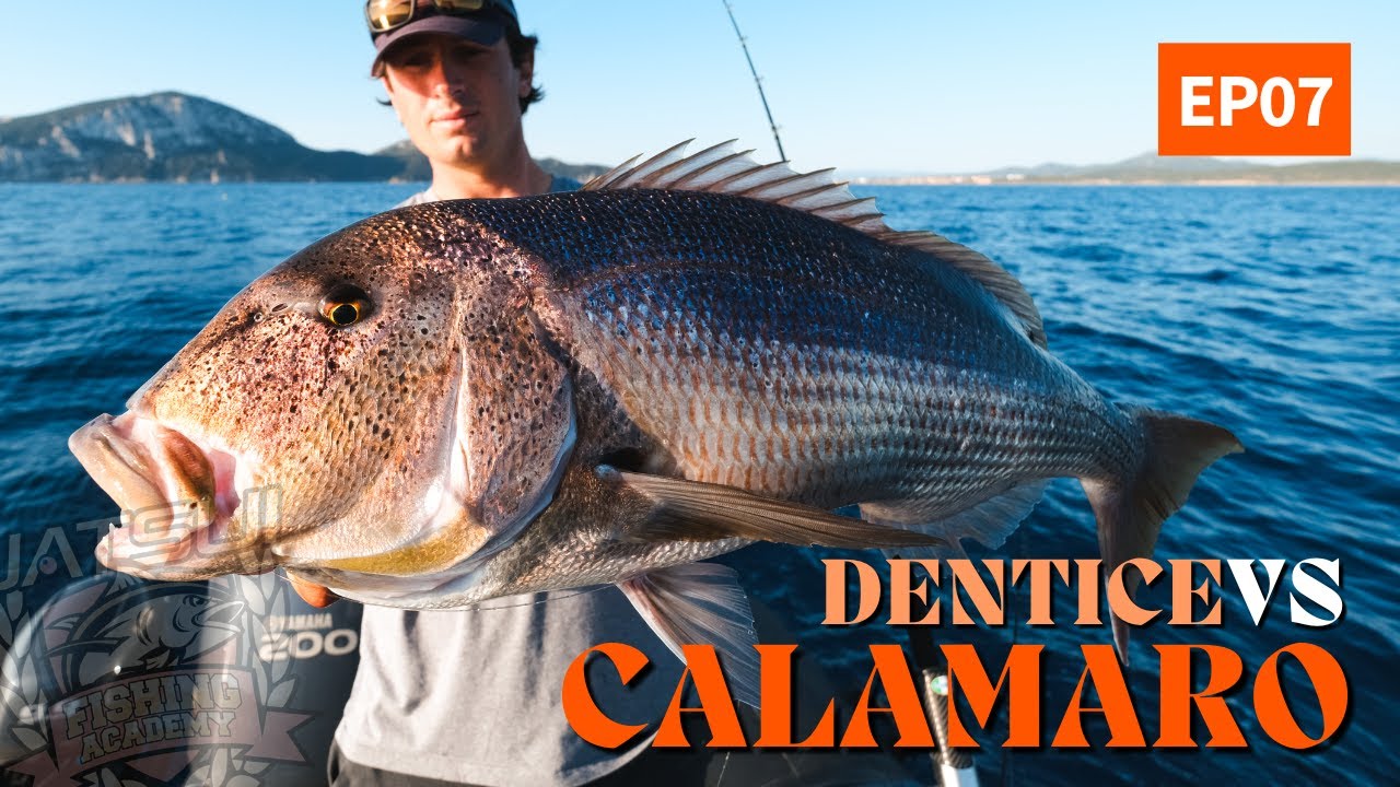 Padronanza del CALAMARO per catturare tutto l'anno - EP07