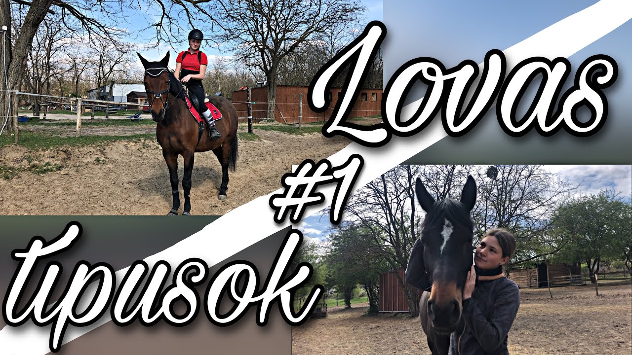 Lovas típusok #1 || My life with L&C