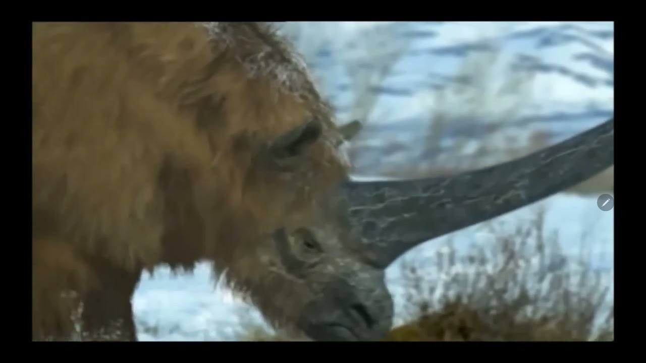 Siberian unicorn ( elasmotherium)#prehistoric park#