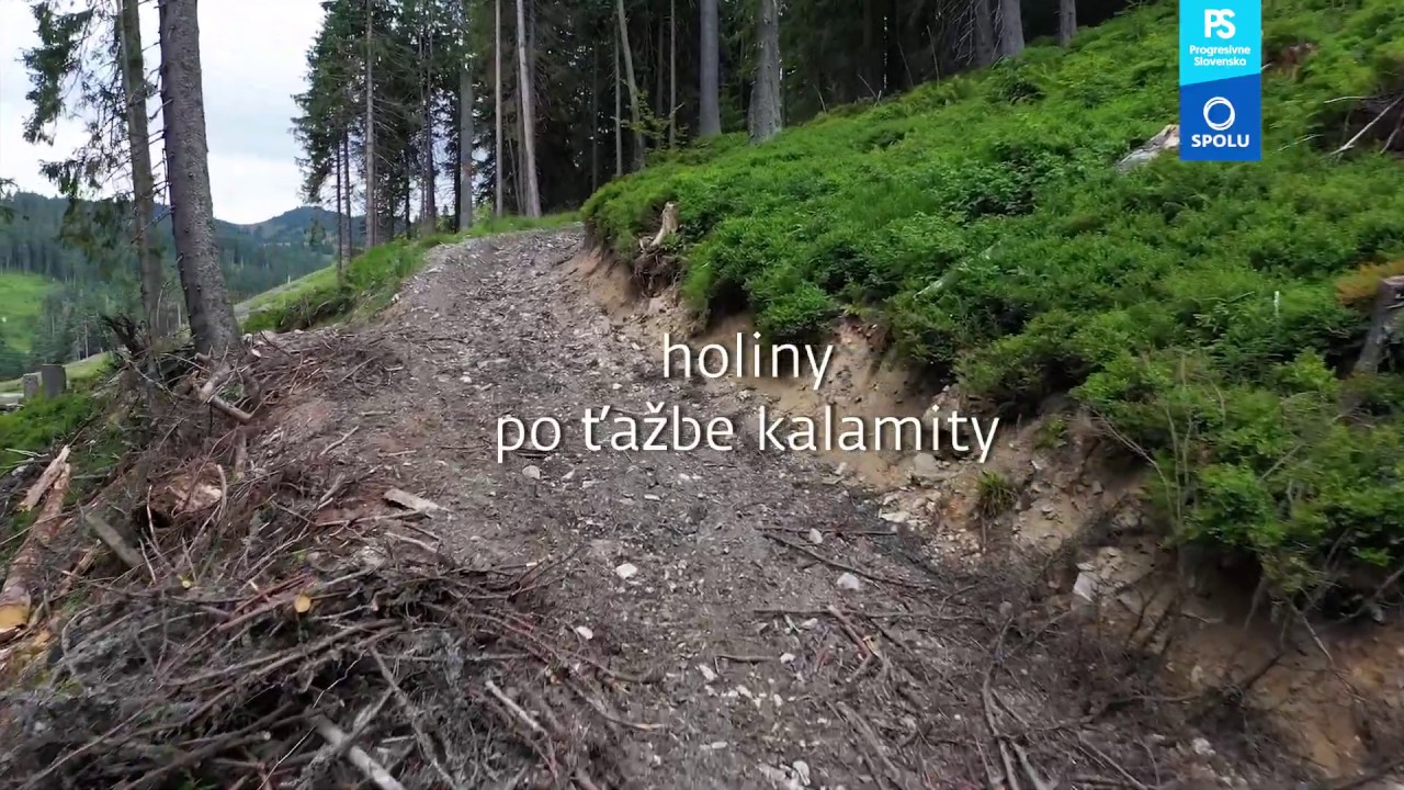 Sadiť či nesadiť?
