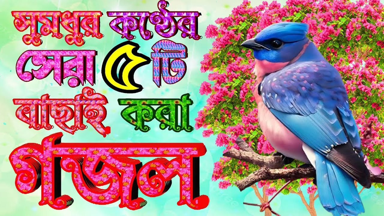 খুবই দুঃখের ৫টি গজল মন মাতানো গজল Heart Touching Gojol Islamic New Bangla Gojol