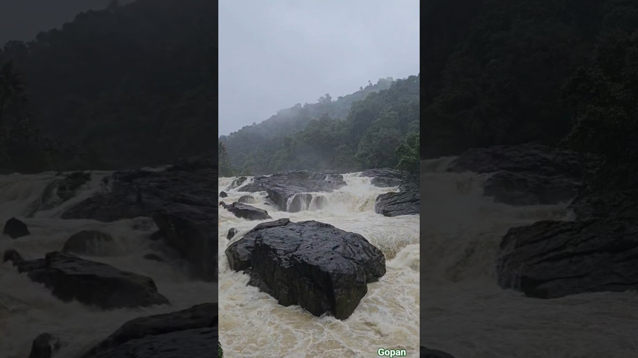 🫰 #waterfalls #idukki #nature #rain #travel