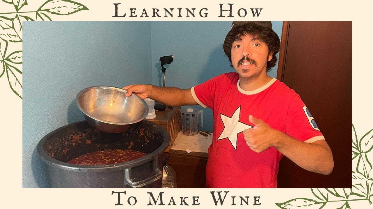 Learning To Make Wine In Portugal | Harder Than We Thought