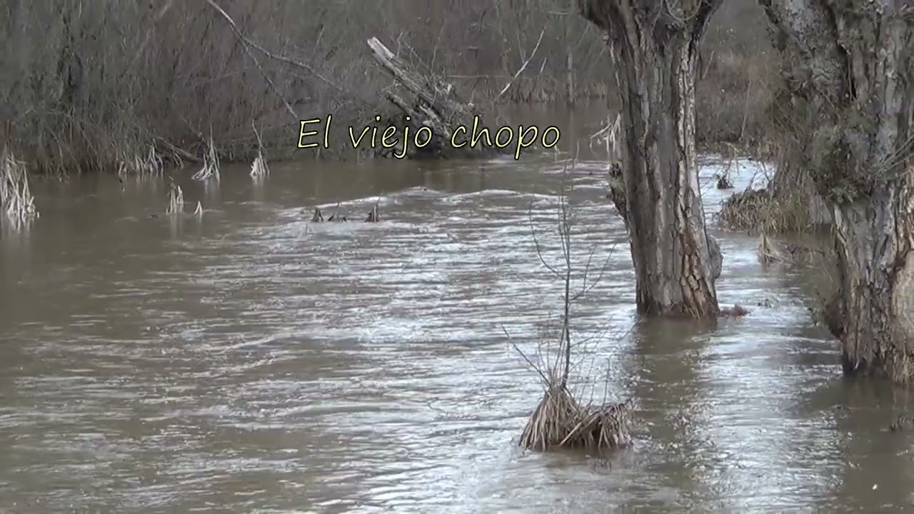 Las aguas vuelven a su antiguo cauce