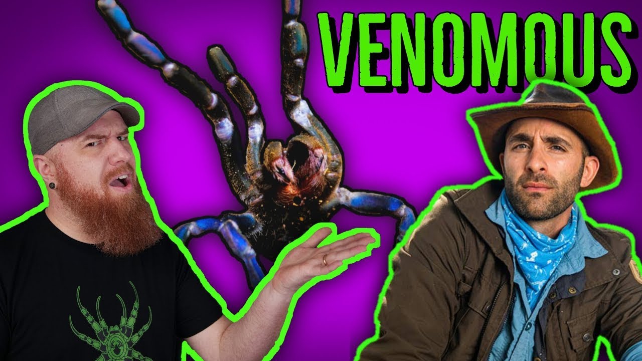 What Happens If a TARANTULA BITES You? (w/ Coyote Peterson)