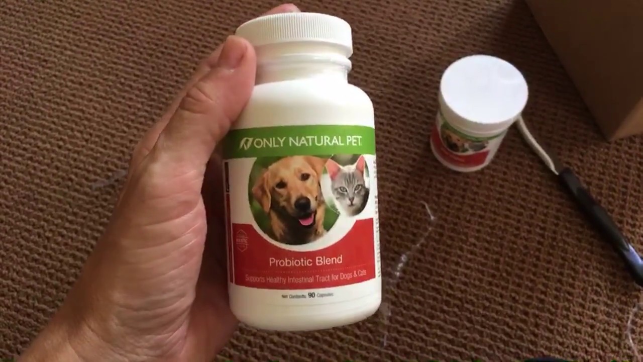 Only Natural Pet Products Probiotics, Digestive Enzymes and Antioxidants - Floppycats