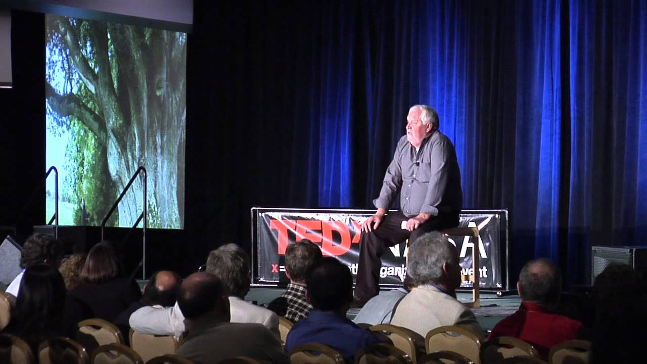 An archive of ancient tree genes | David Milarch | TEDxNASA@SiliconValley