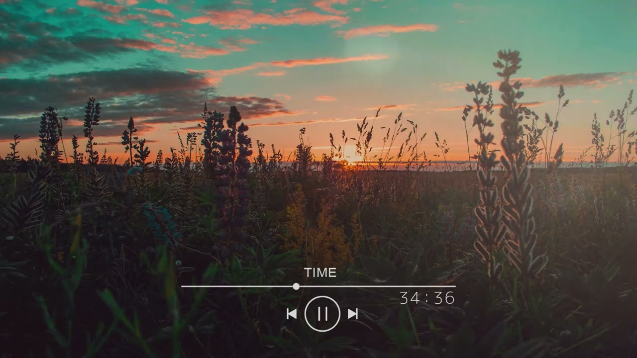 Calming Sounds: Soothing Music for Stress Relief