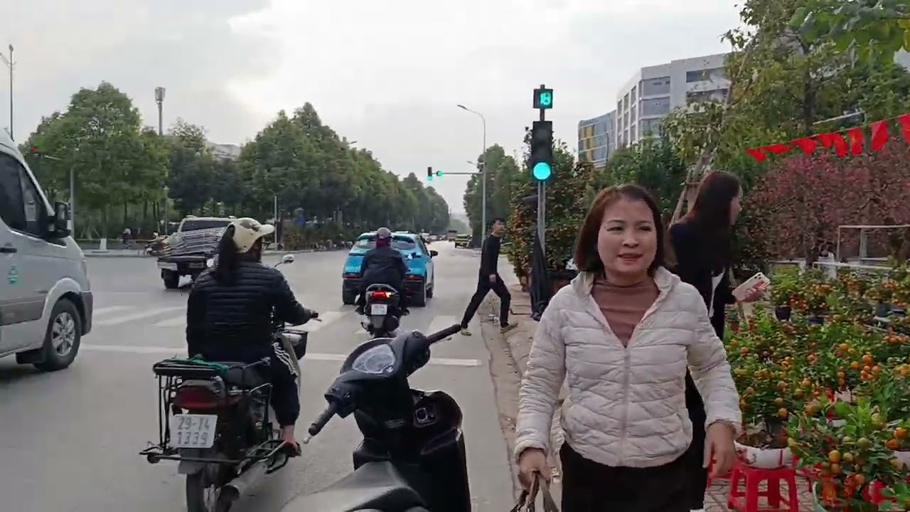 Ngày 30/01/2026 đi ngắm đào quất ở đường Bình Than; Bắc Ninh những ngày cuối năm?