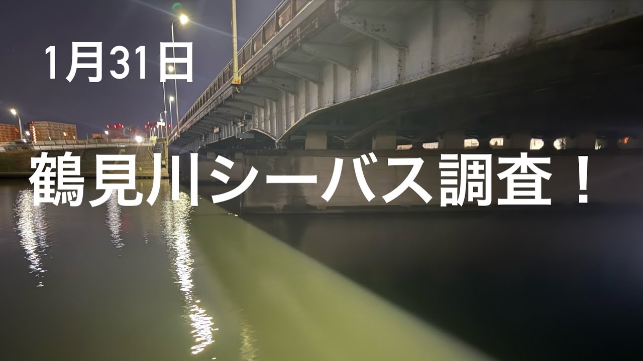 【鶴見川】1月31日鶴見川シーバス調査！