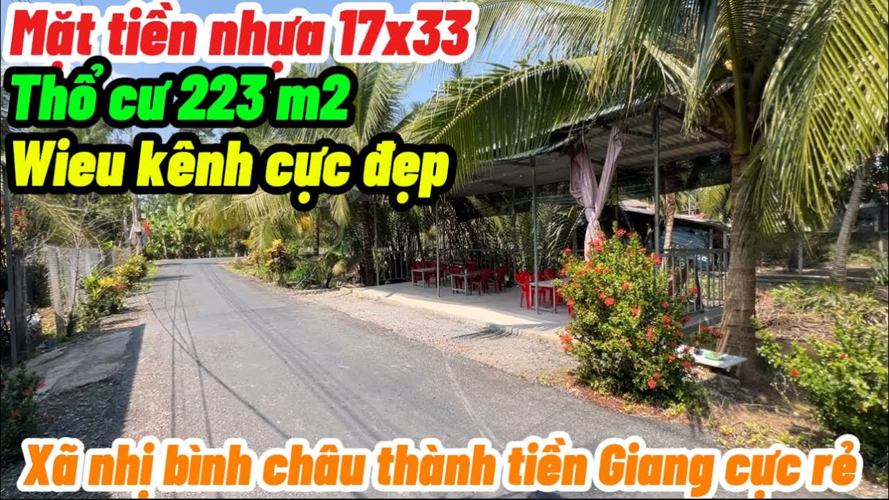 T.3185 vườn vú sửa lò rèn đang cho trái xum xuê đường xe ô tô nhựa thổ cư wieu kênh cực đẹp luôn 