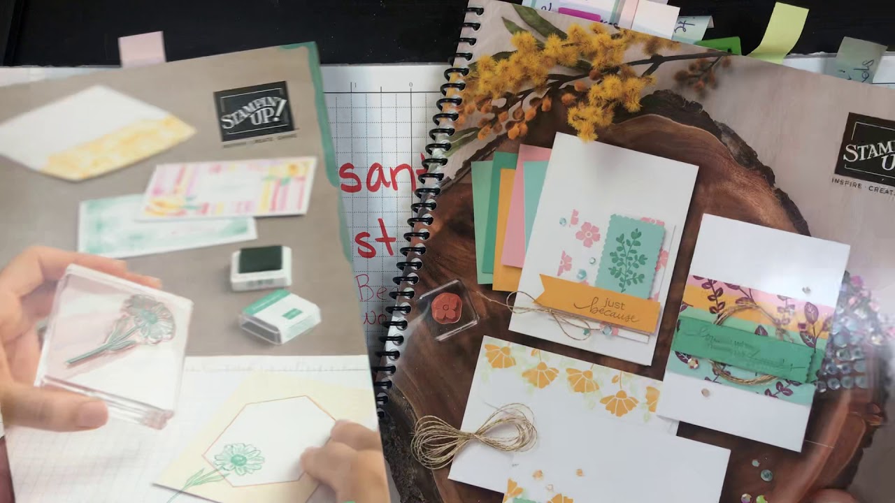🔴 New 2020/2021 Annual Catalog Flip Through