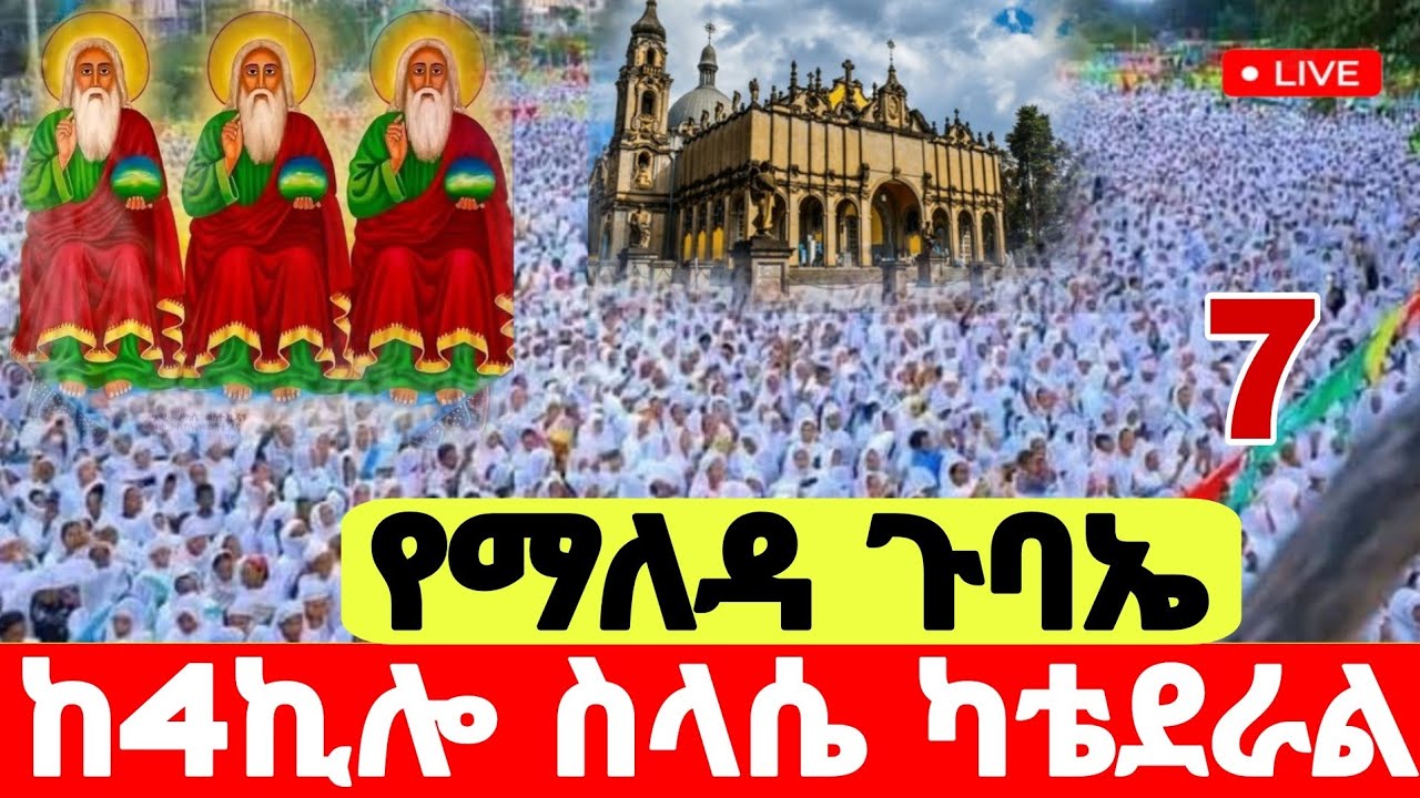 live ❗️❗️#ቀጥታ_ጉባኤ #ከ4ኪሎ_ስላሴ_በካቴድራል_ደምቋል #Ethiopian_Orthodox_mezmur @hosaenatube1