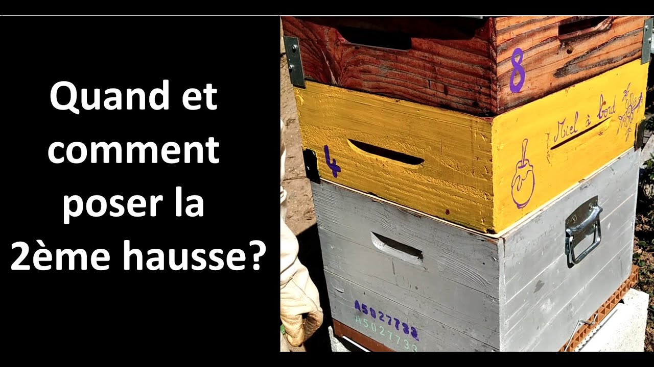 Quand et comment poser la 2ème hausse?