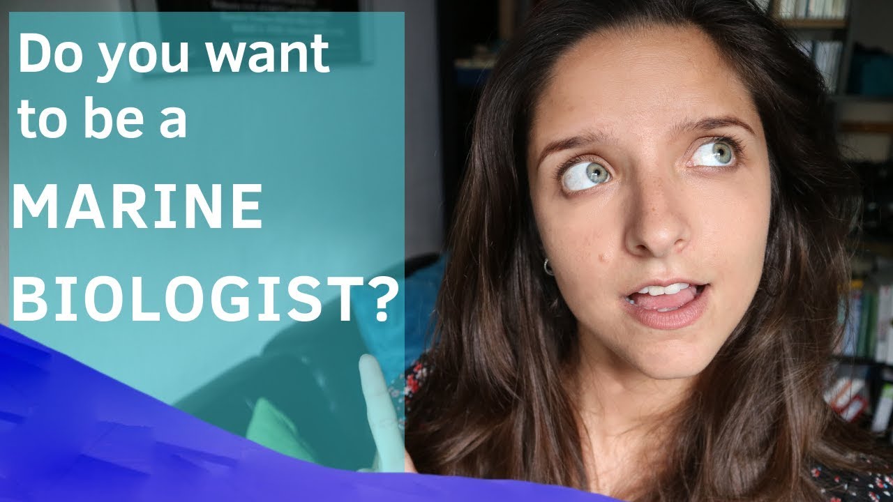 Want to be a MARINE BIOLOGIST? How to start?