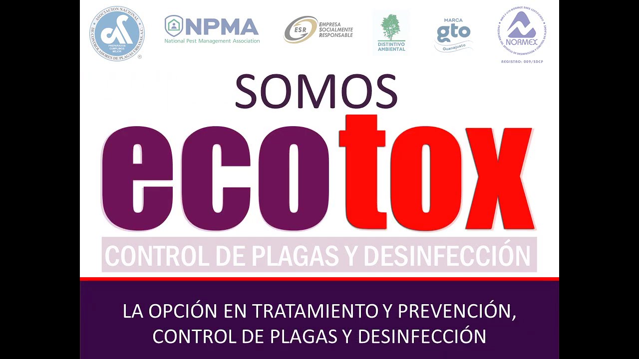 PRESENTACI&Oacute;N ECOTOX