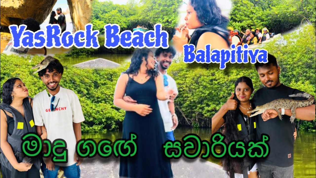 මාදු ගගේ සවාරිය 🌊🐚🍃⛵️| Exploring the Beauty of Madhu River | Vlog 18 #maduriver #Beach #balapitiya
