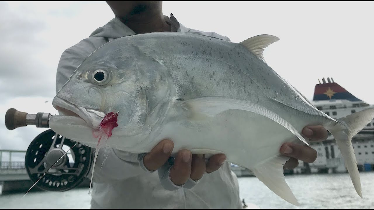 Fly Fishing @ Langkawi 11 November 2021 4kHD