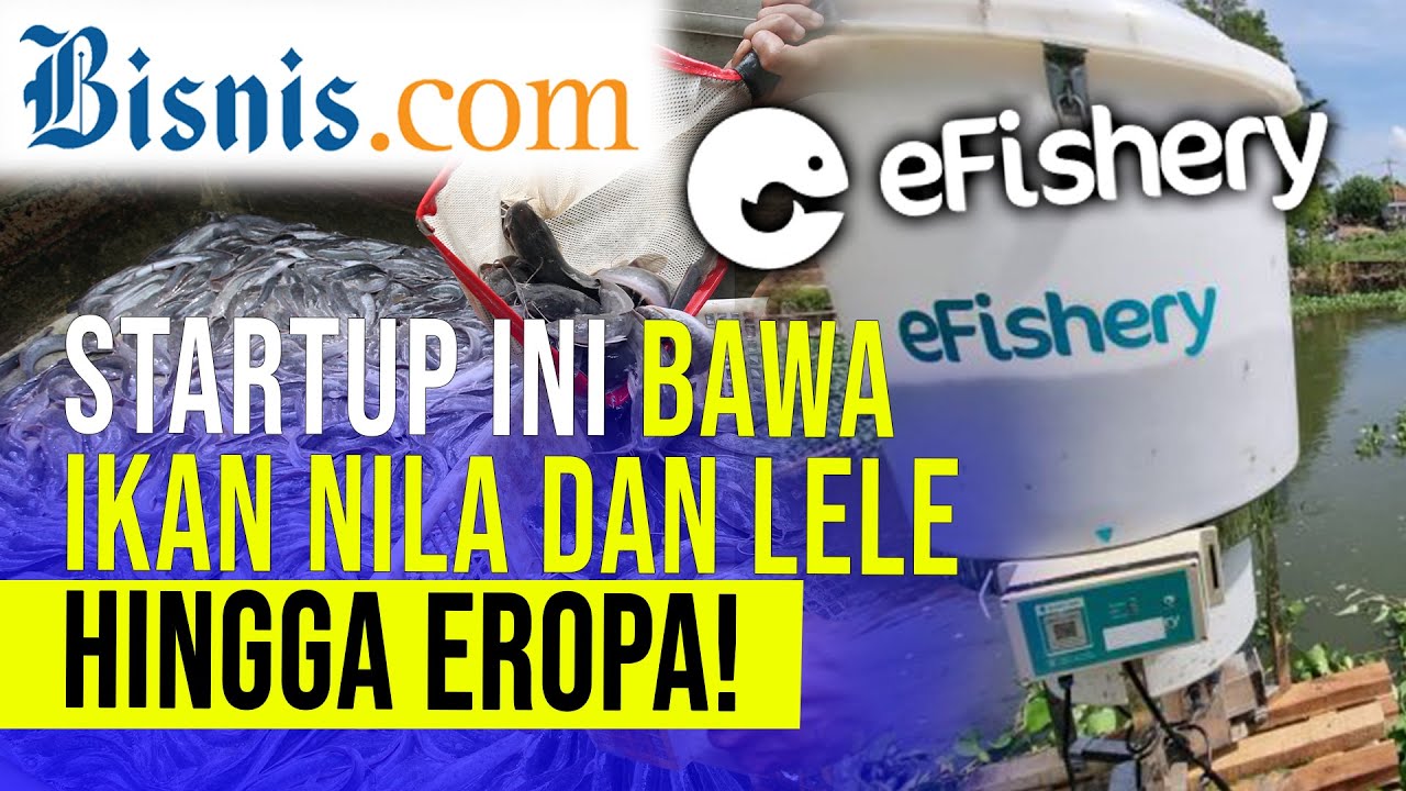 Temasek - Softbank Suntik US$90 Juta, eFishery jadi Startup perikanan Terbesar di Dunia?