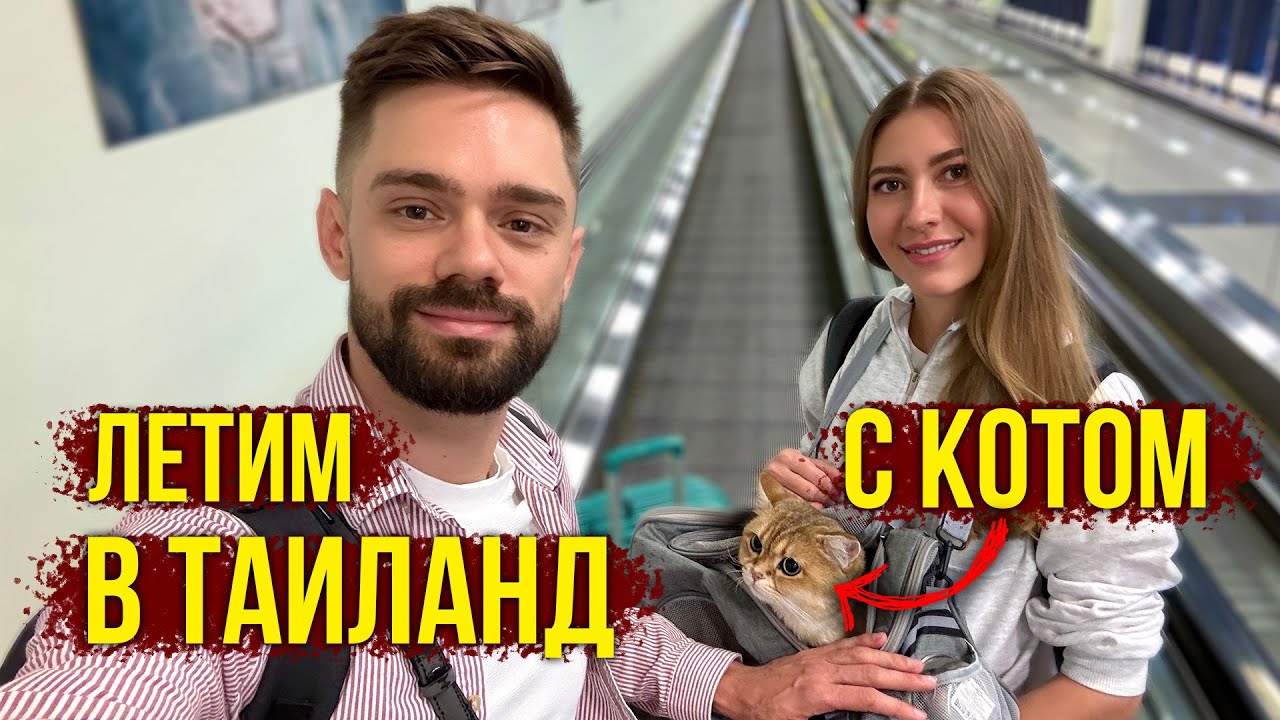 Летим в Таиланд с КОТОМ - Остались БЕЗ КВАРТИРЫ, Что ДЕЛАТЬ? Как КОТИК Перенес ПЕРЕЛЕТ? Влог