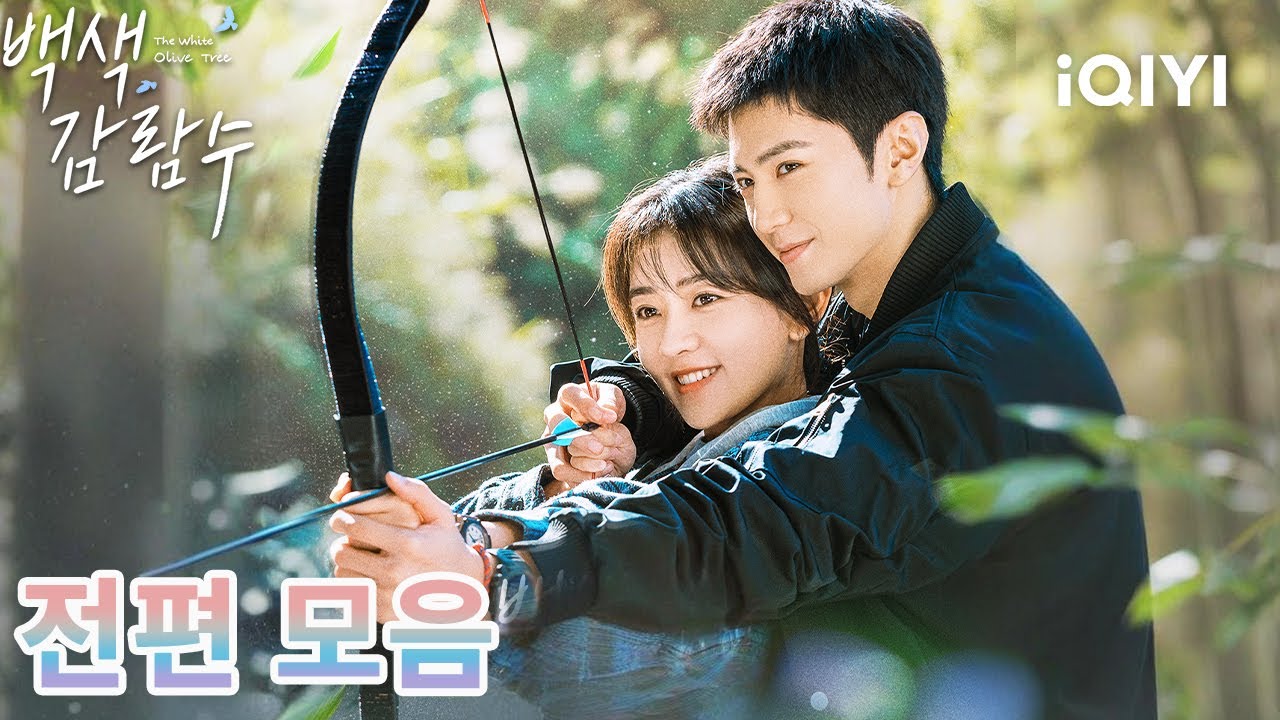 【진철원 현대극 즐겨보기】🕊전쟁, 희생,어떤 것도 이 사랑을 무너뜨릴 수 없다💕희망의 끝에서 흰 올리브 나무가 꽃을 피운다💫 |백색감람수 : 하얀 올리브 나무|iQIYI Korea
