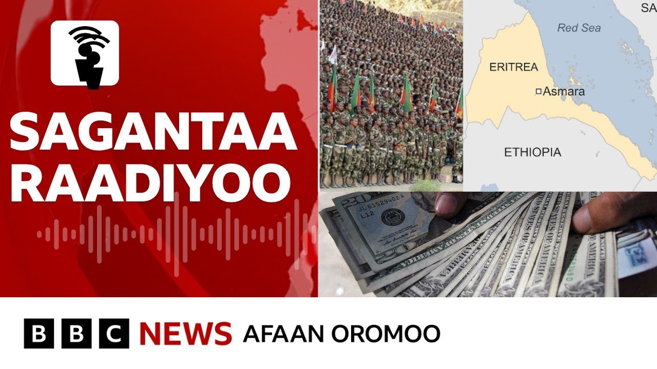 Ulaa Galaanaf Itoophiyaaf Ertiraa giddutti waraanni ka'uun waan hin oollee? | BBC News Afaan Oromoo