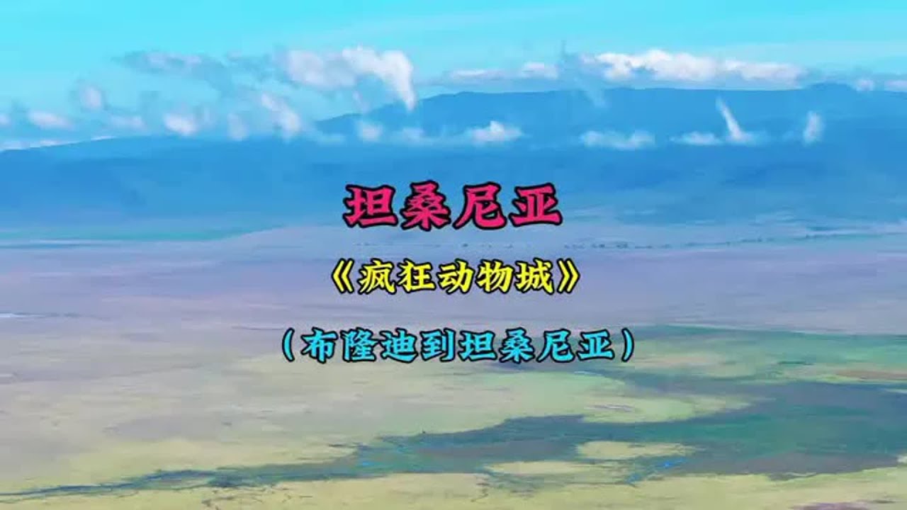 环球旅行之坦桑尼亚篇，本期内容：从布隆迪坐车去坦桑尼亚看动物，现实版的疯狂动物城#交换世界计划 #青年创作