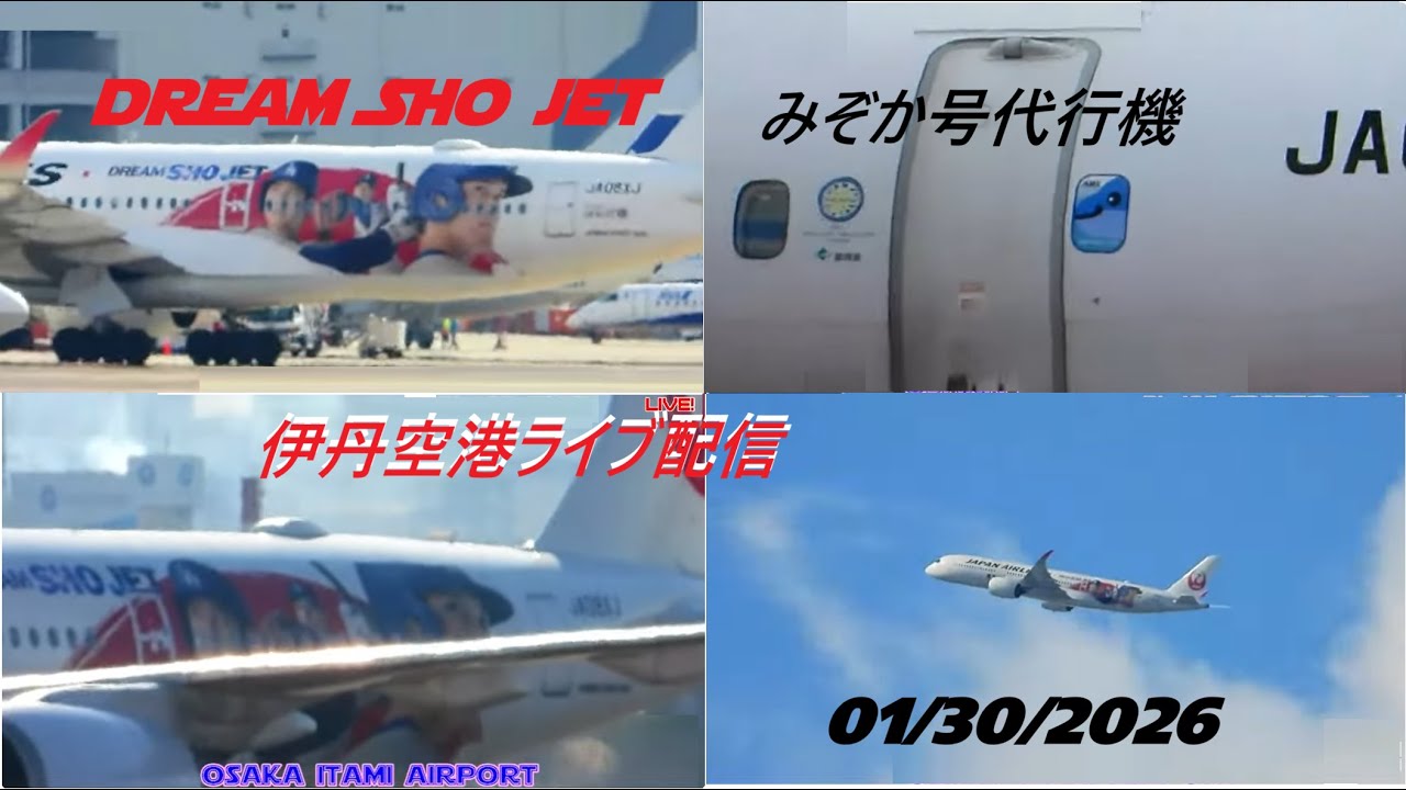 生中継！伊丹空港!!  Plane Spotting Itami Airport 01/30/2026