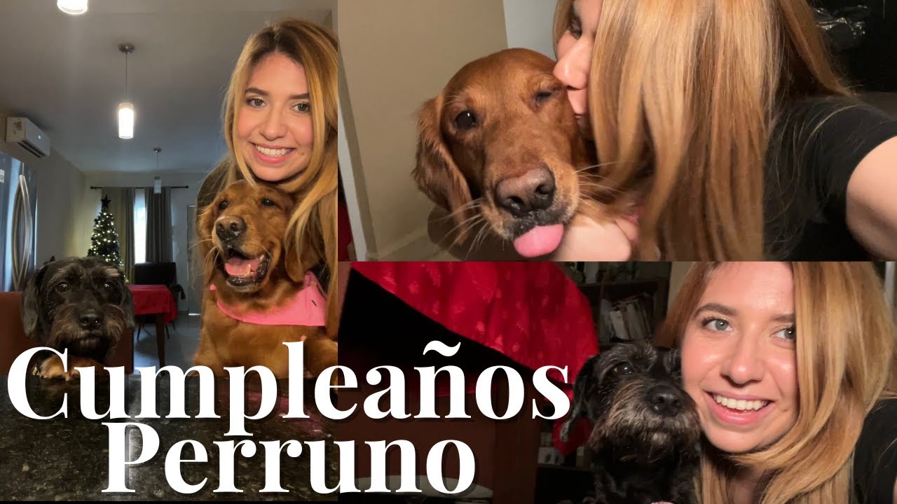 Festejos Perrunos | Caminata por la 5ta Av