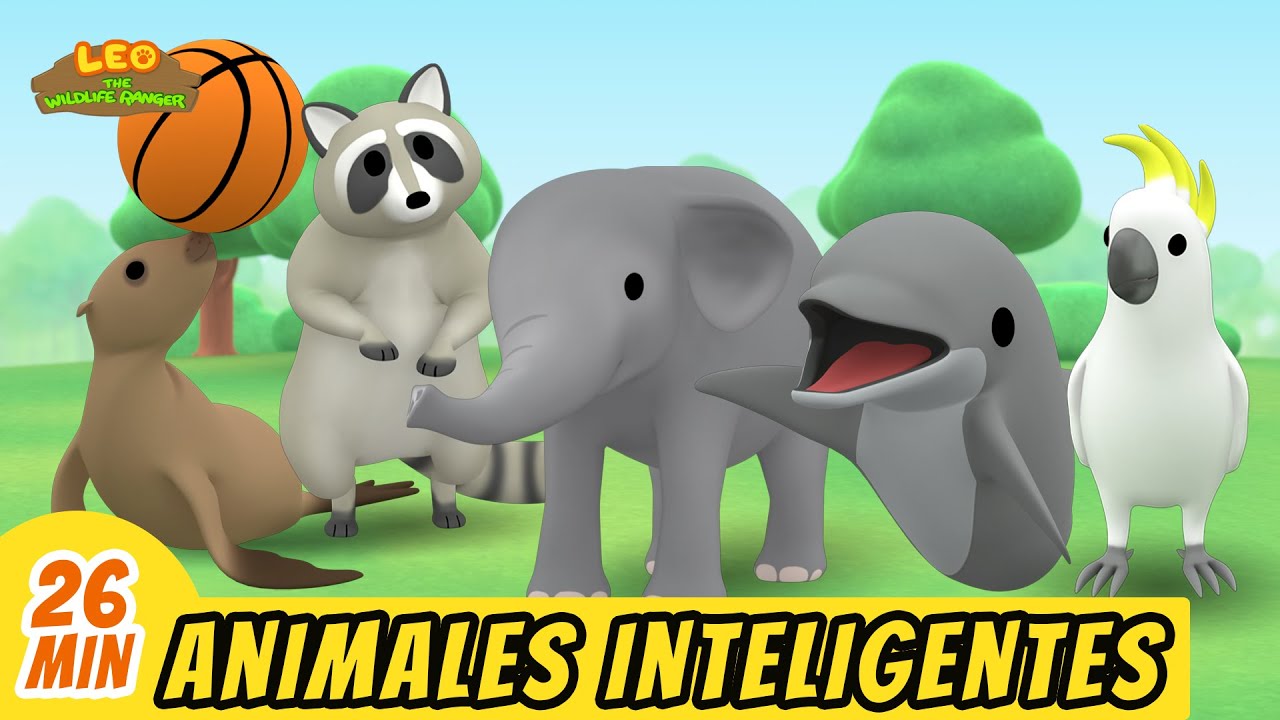 Animales Inteligentes Episodio Compilación (Español) - Leo, El Explorador | Animación - Familia