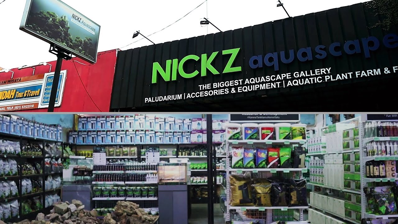 Membahas Berbagai Produk Lokal dan Impor di Nickz Aquascape Shopping Centre